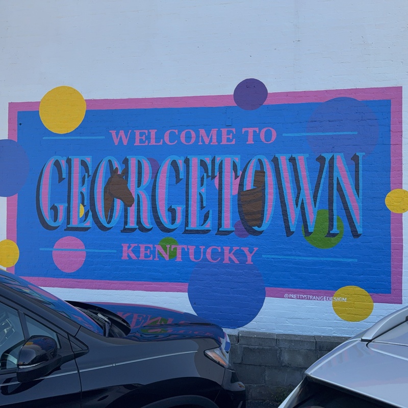 mural in Georgetown by artist unknown.