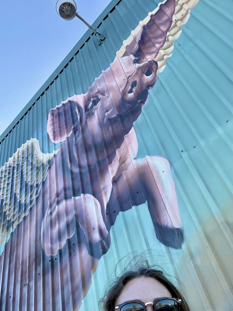 mural in Austin by artist unknown.