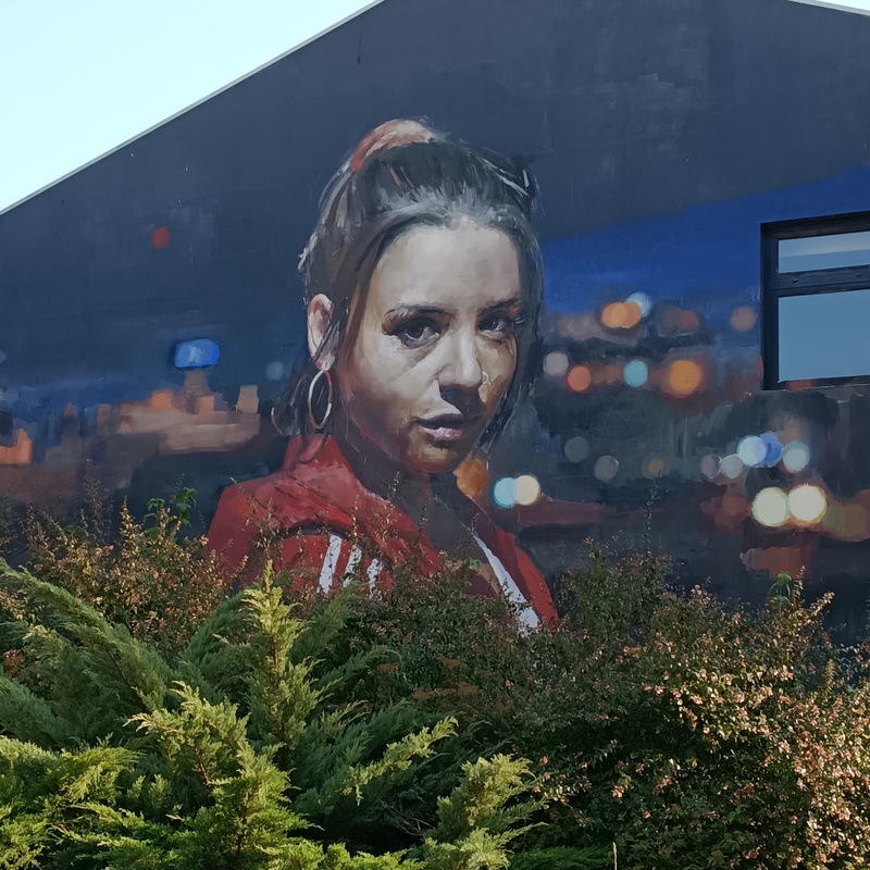 mural in Leiria by artist unknown.