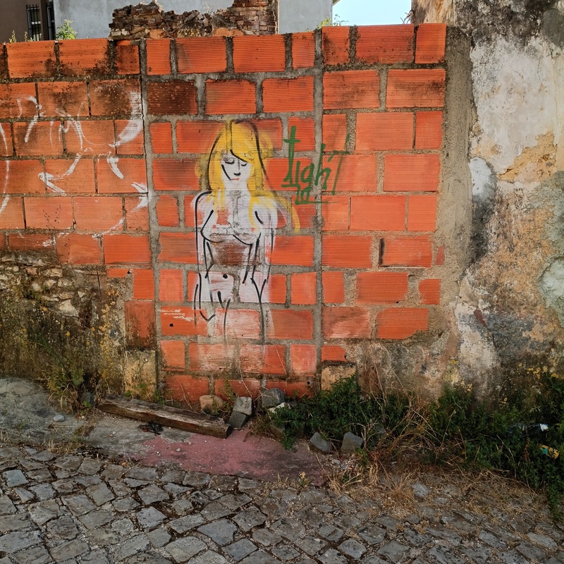 mural in Leiria by artist unknown.