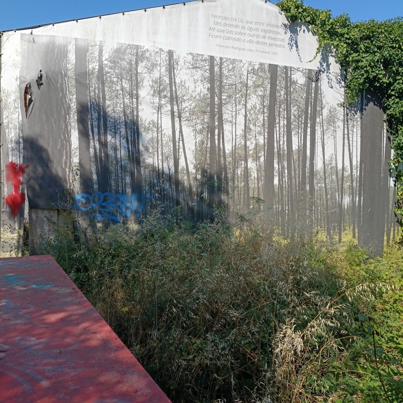 mural in Leiria by artist unknown.