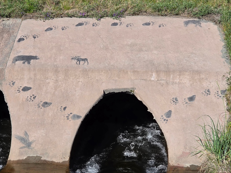 mural in Anchorage by artist unknown.