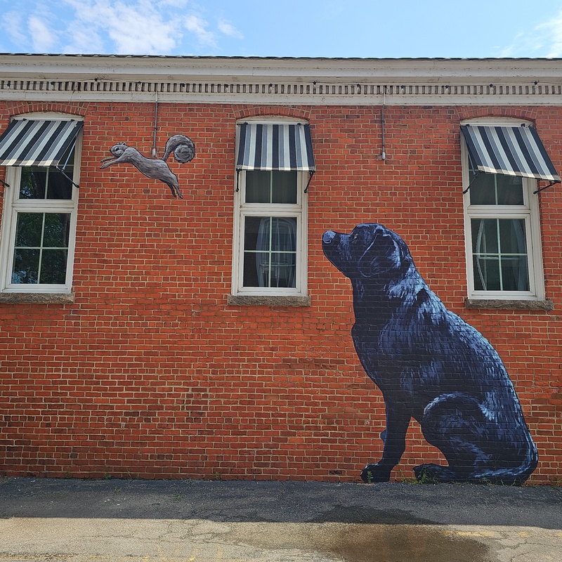 mural in Richmond by artist Matt Lively.