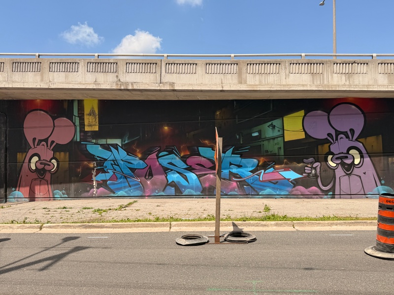 mural in Hamilton by artist unknown.