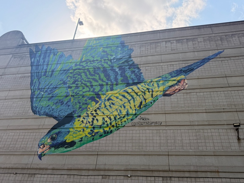 mural in Hamilton by artist unknown.
