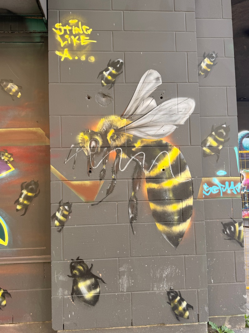 mural in Hamilton by artist unknown.
