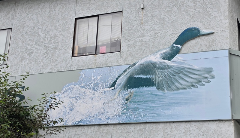 mural in Wasilla by artist unknown.