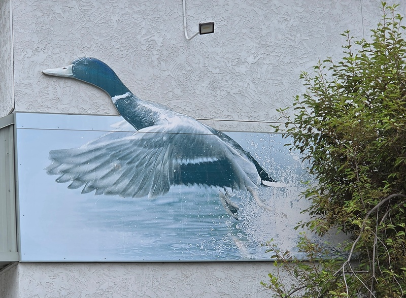 mural in Wasilla by artist unknown.