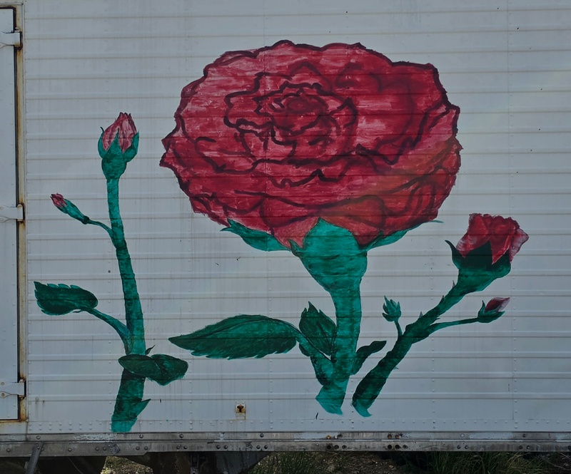 mural in Healy by artist unknown.