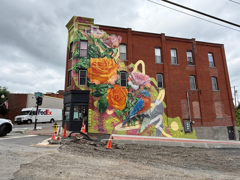 mural in Johnson City by artist unknown.