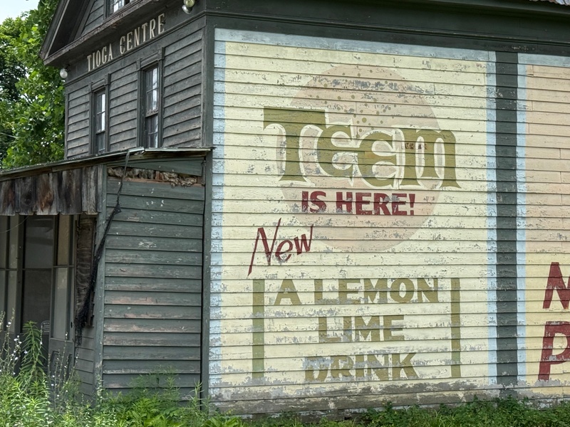 mural in Waverly by artist unknown.