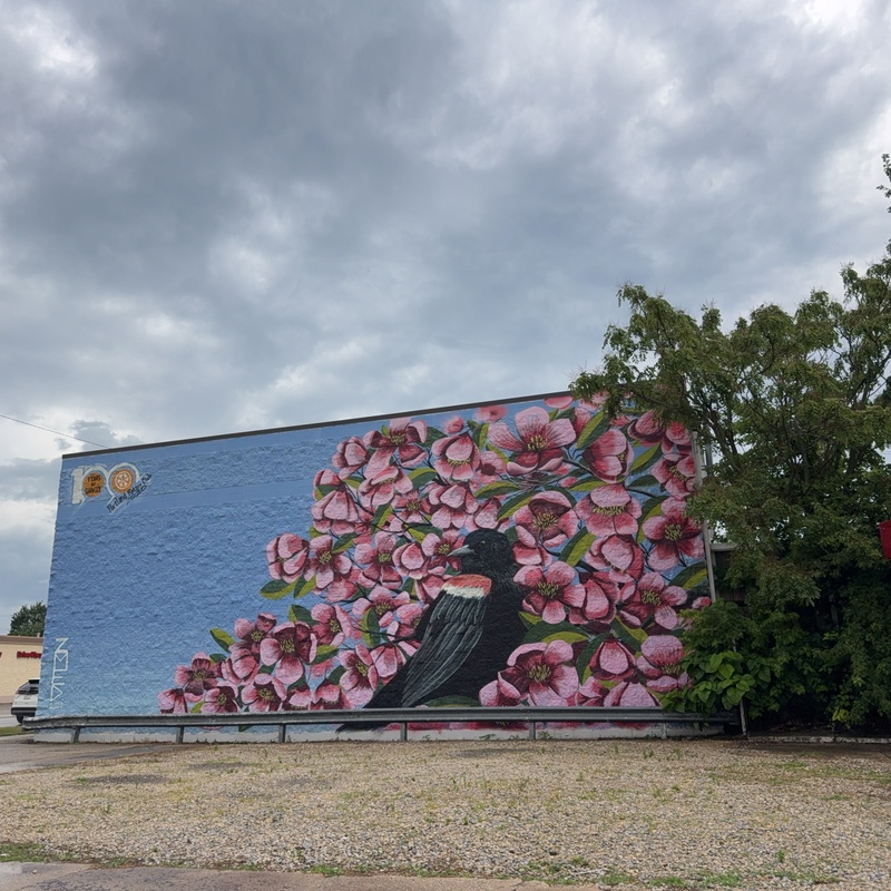 mural in Portland by artist unknown.