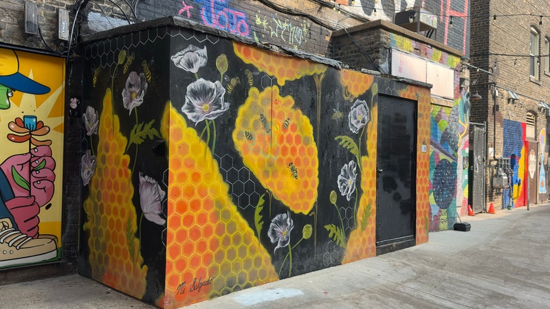 mural in Milwaukee by artist unknown.