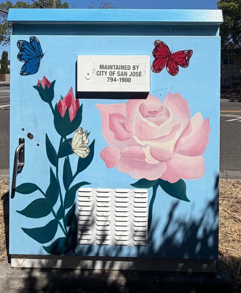 mural in San Jose by artist unknown.