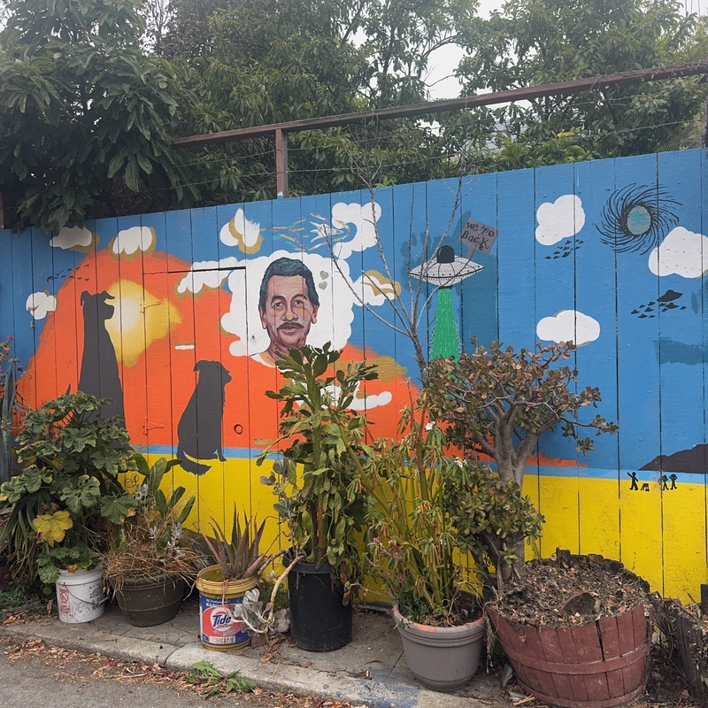 mural in San Francisco by artist unknown.