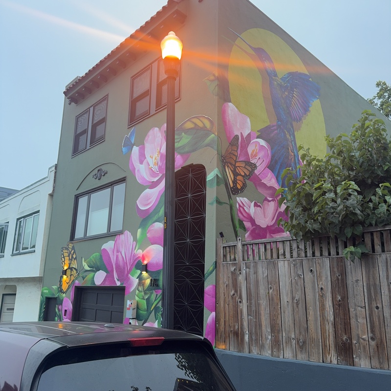 mural in San Francisco by artist Camer1.