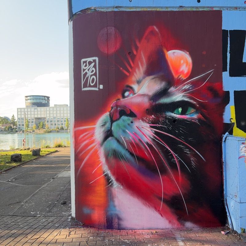 mural in Konstanz by artist Saro.