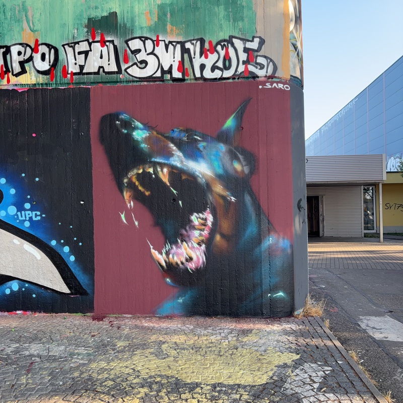 mural in Konstanz by artist Saro.