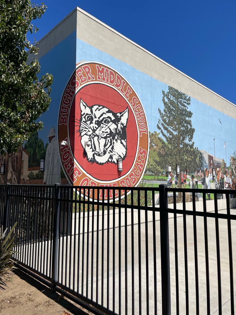 mural in Santa Clara by artist unknown.