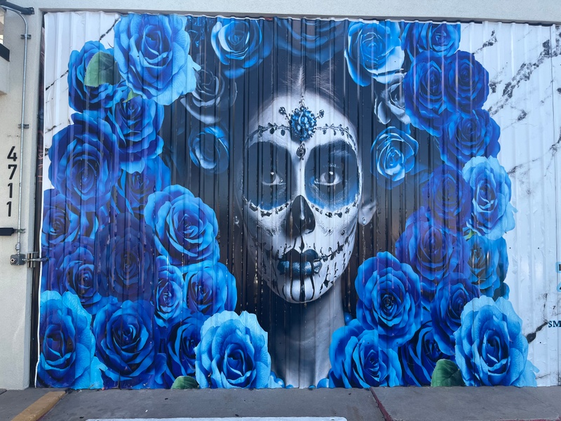 mural in Albuquerque by artist unknown.