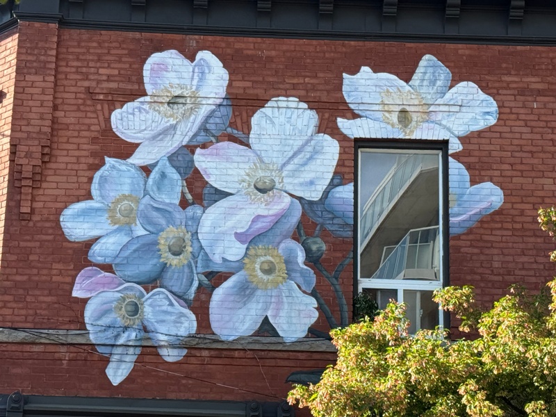mural in Ottawa by artist unknown.