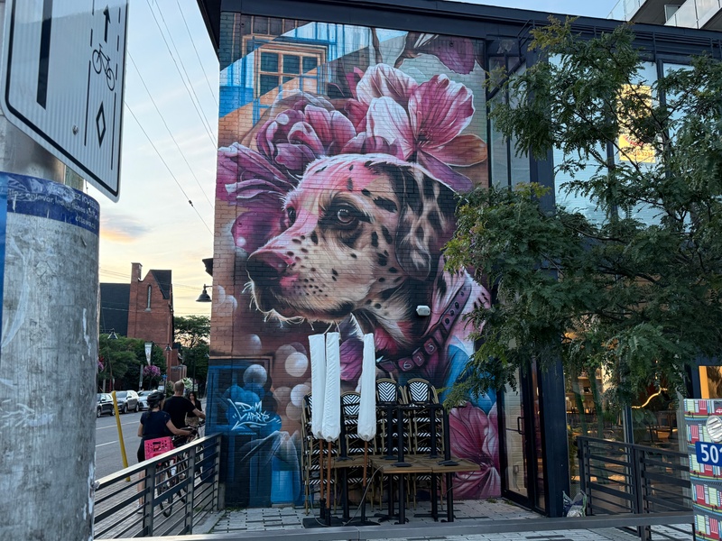 mural in Ottawa by artist Dominic Laporte.