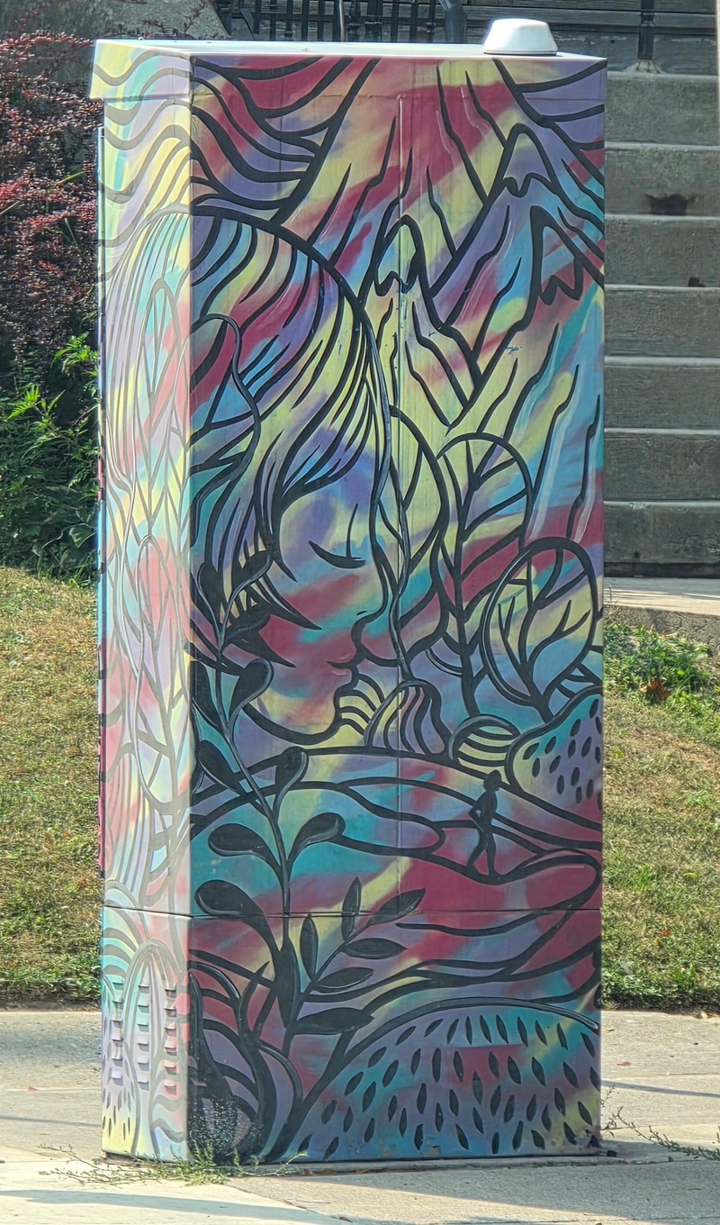 mural in Toronto by artist unknown.