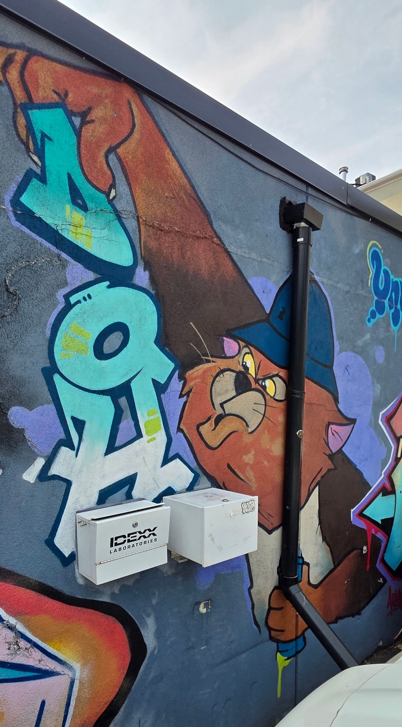 mural in Toronto by artist unknown.