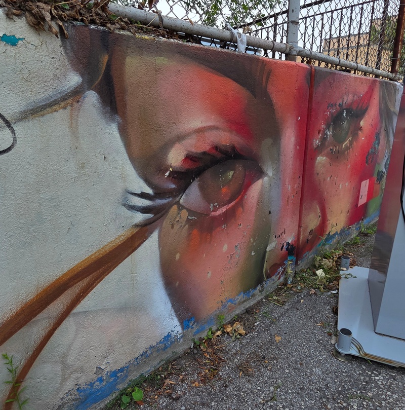 mural in Toronto by artist unknown.