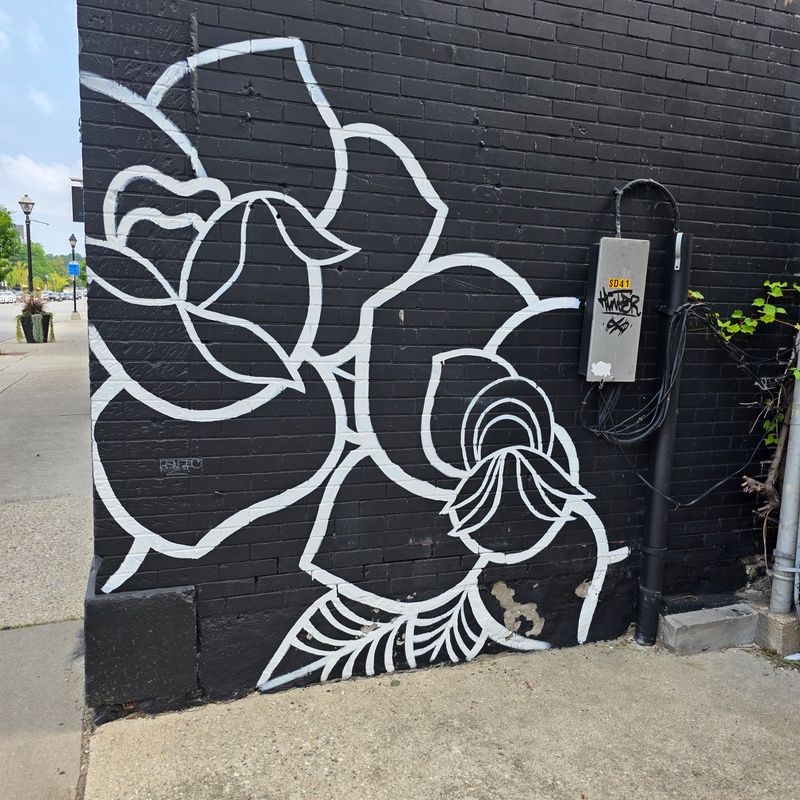 mural in Cambridge by artist unknown.