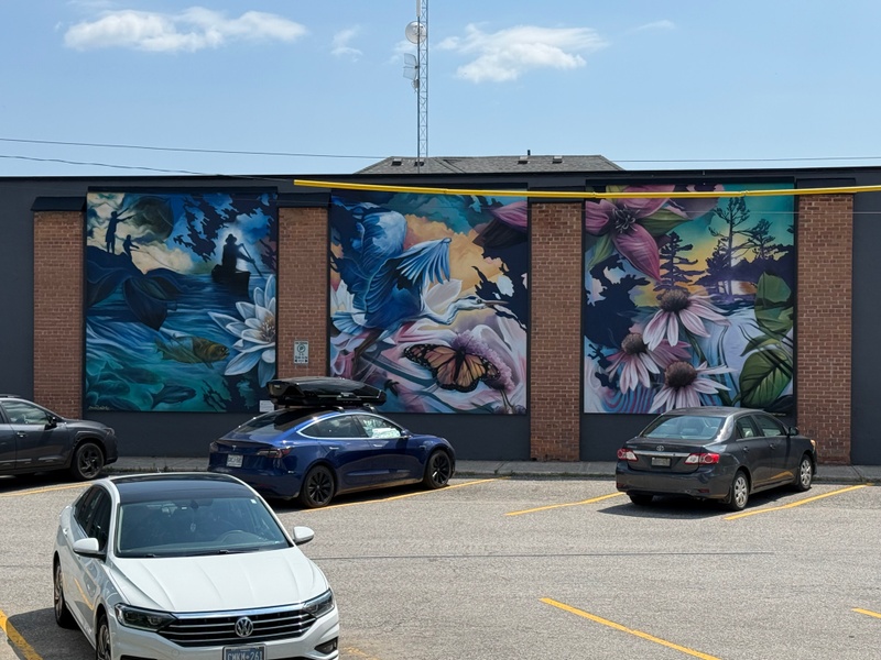 mural in Bracebridge by artist unknown.