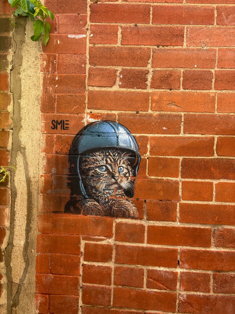 mural in Boulder by artist unknown.