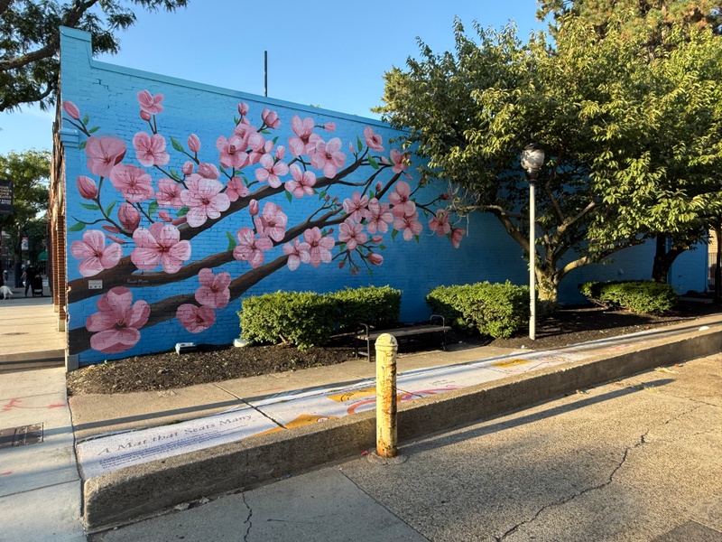 mural in Brookline by artist unknown.