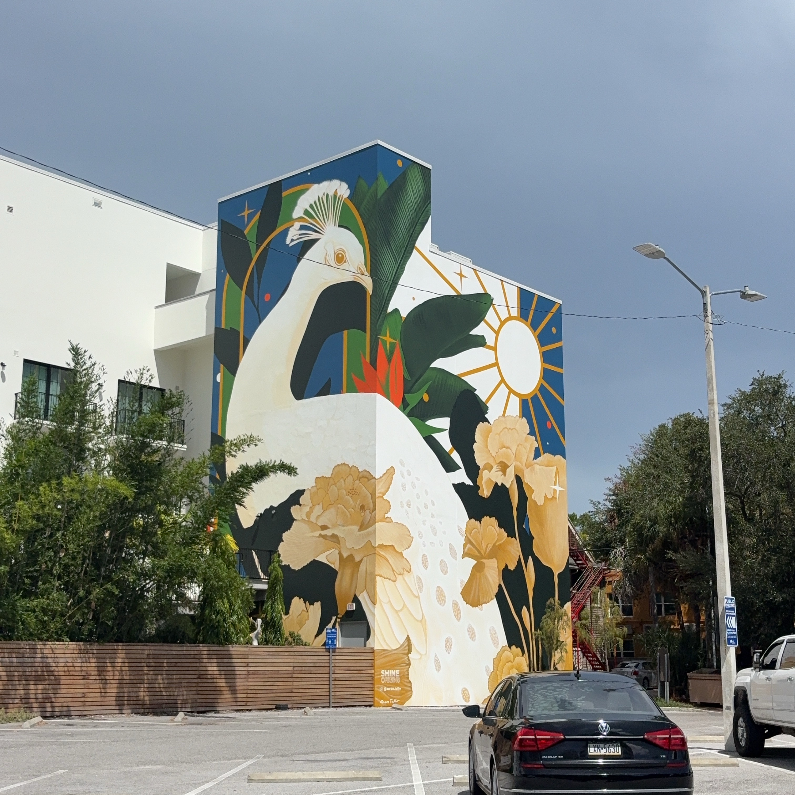 mural in St. Petersburg by artist Aaron Tullo.