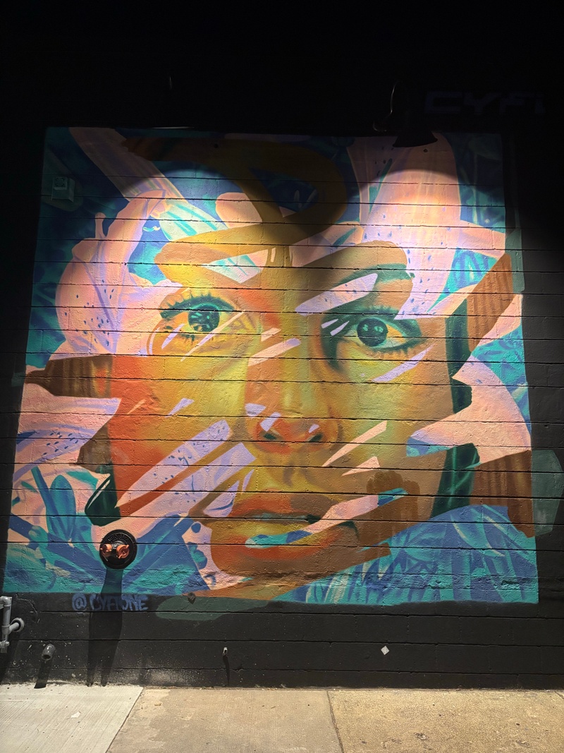 mural in  by artist Cyfi.