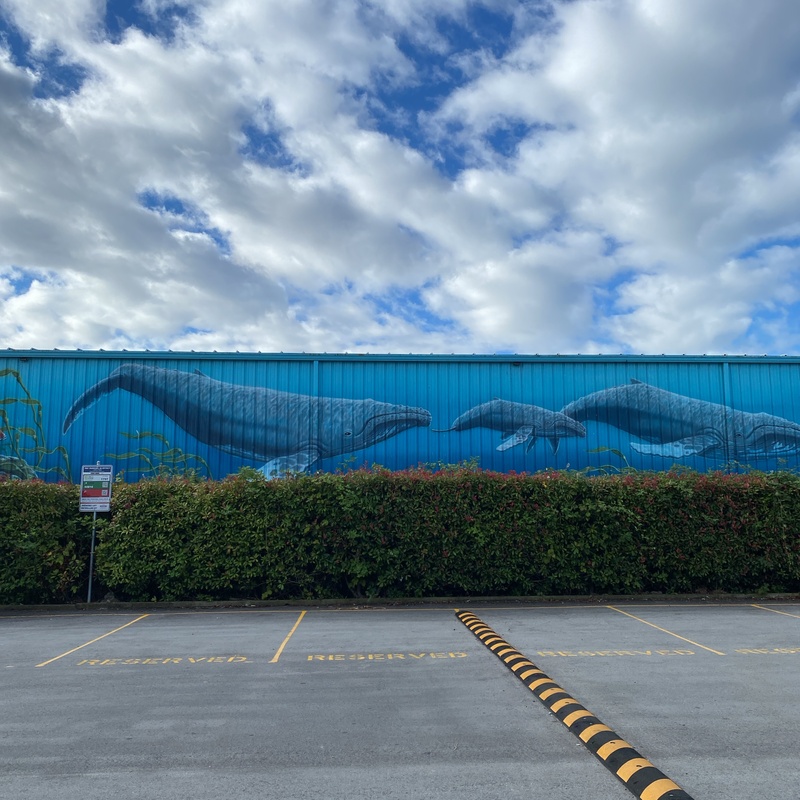 mural in Richmond by artist unknown.