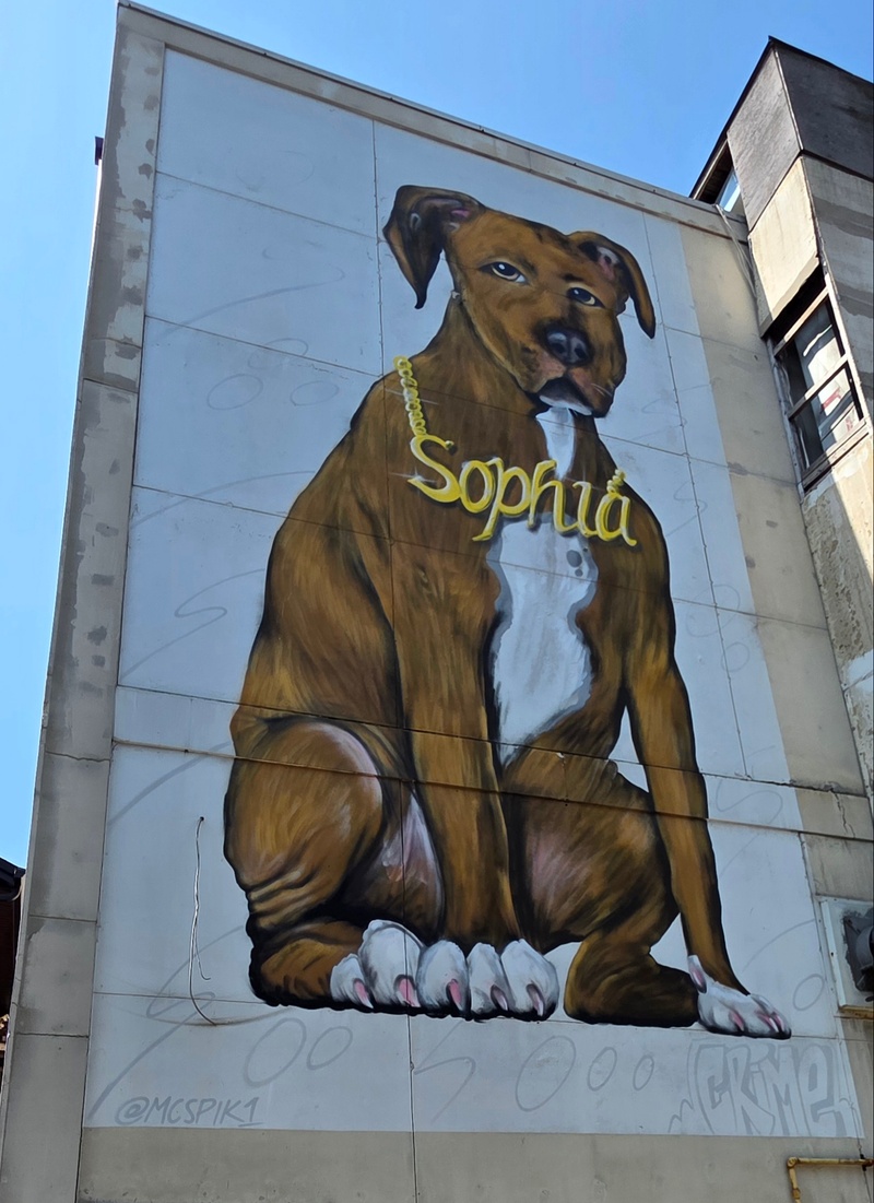 mural in Hamilton by artist Vinny Alejandro.