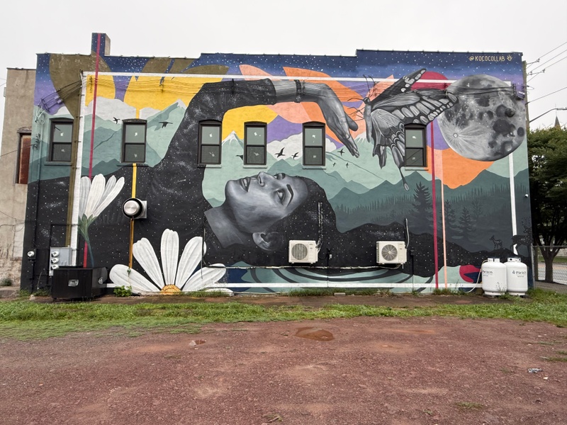 mural in Monticello by artist Aiko Szymczak.