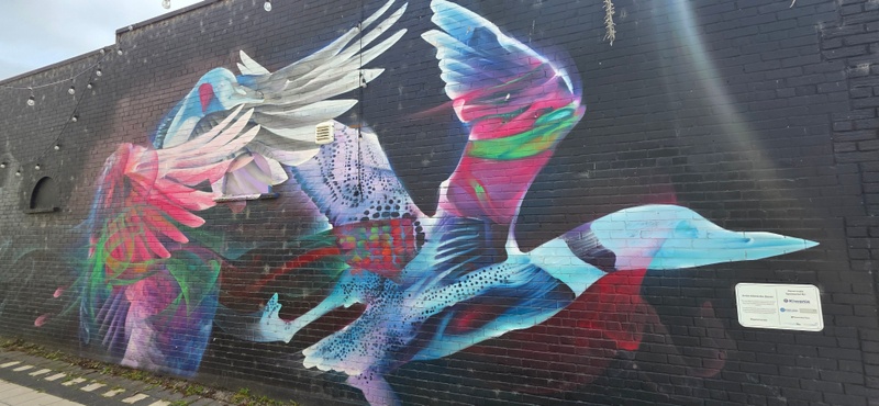 mural in Sault Ste. Marie by artist Vizsla.