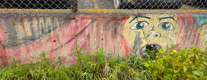 mural in Thunder Bay by artist unknown.