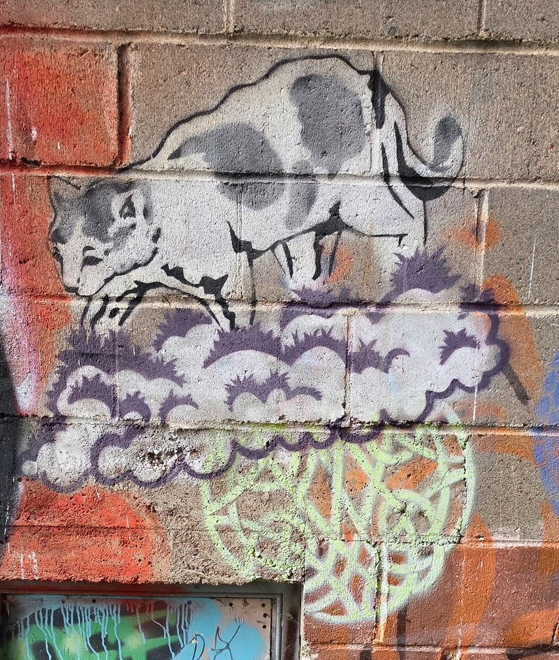 mural in Thunder Bay by artist unknown.