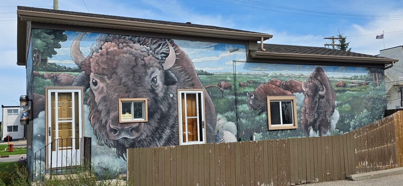mural in Winnipeg by artist unknown.