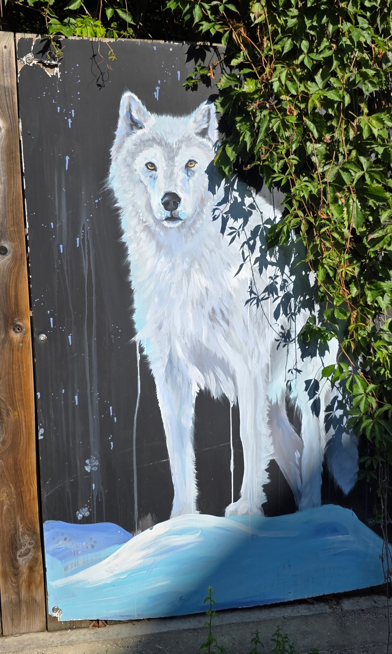 mural in Winnipeg by artist unknown.