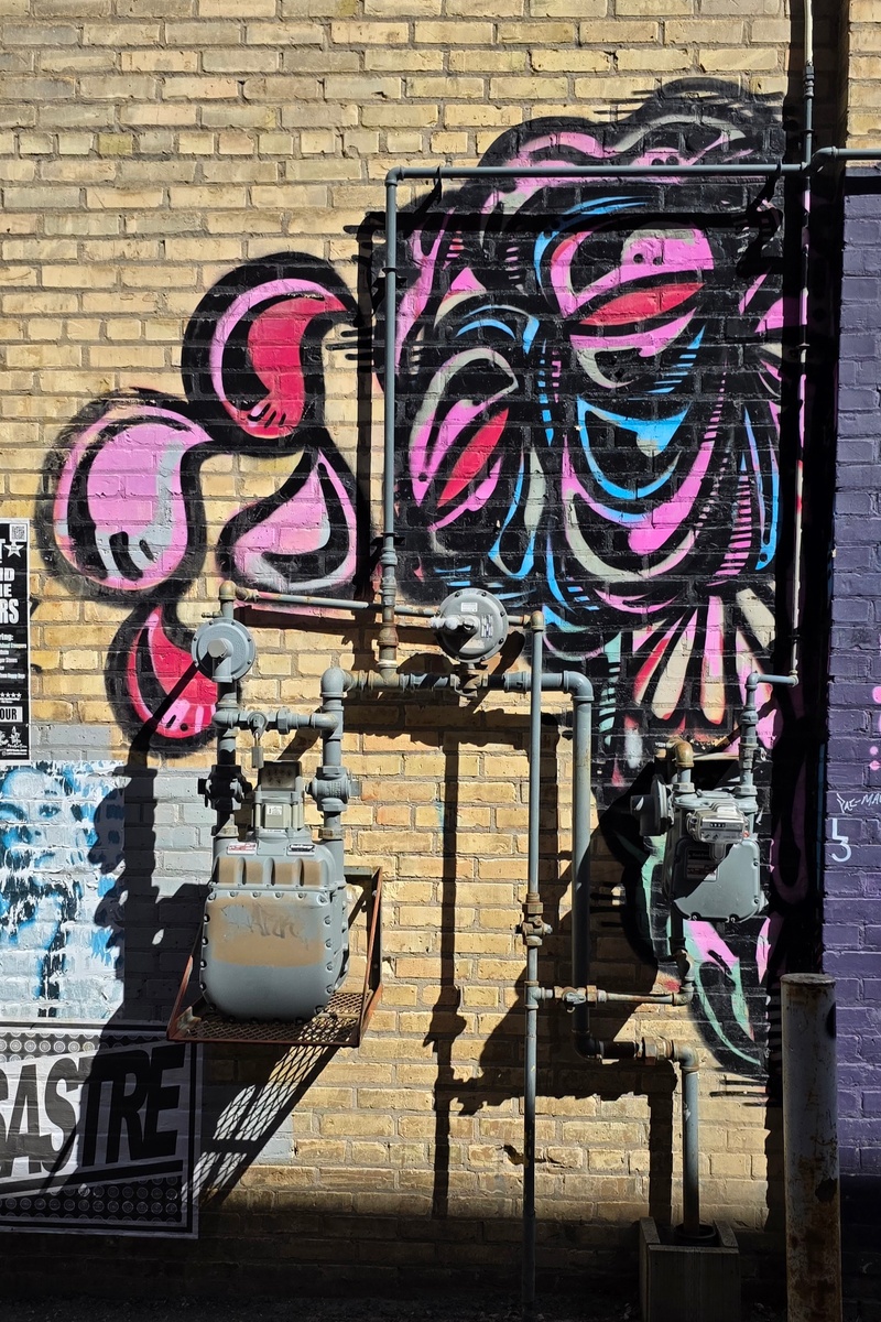 mural in Saskatoon by artist unknown.