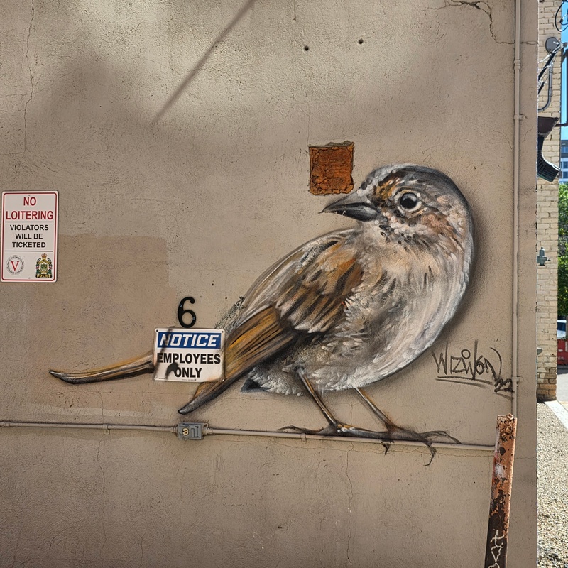 mural in Saskatoon by artist unknown.