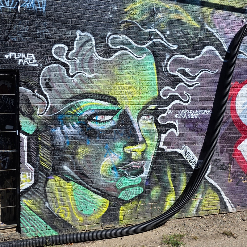 mural in Saskatoon by artist unknown.
