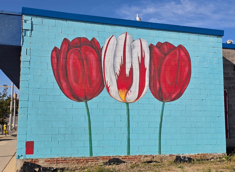 mural in North Battleford by artist unknown.