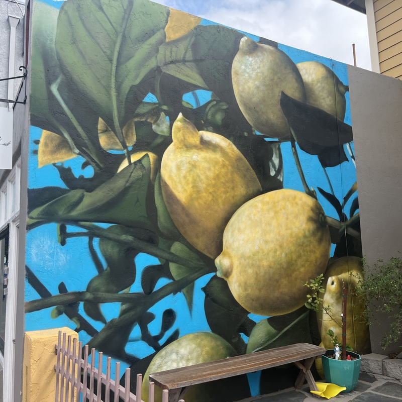 mural in Chula Vista by artist unknown.