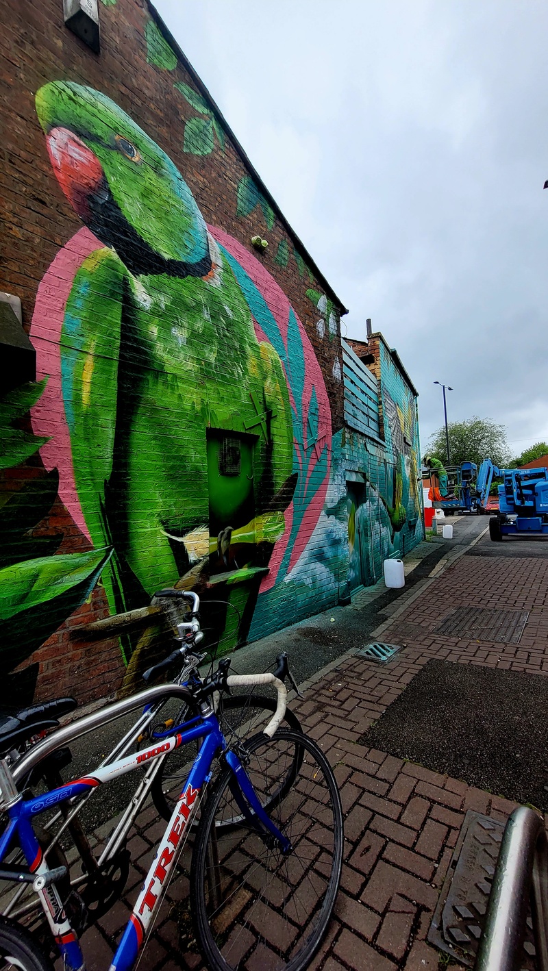 mural in Withington by artist unknown.