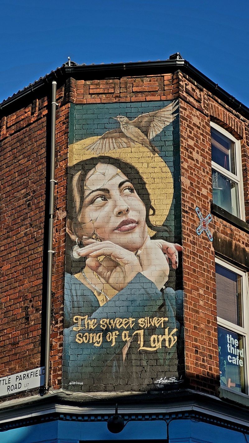 mural in  by artist Liam Bononi.